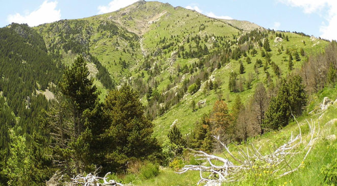 Піренейські гори, Каталонія